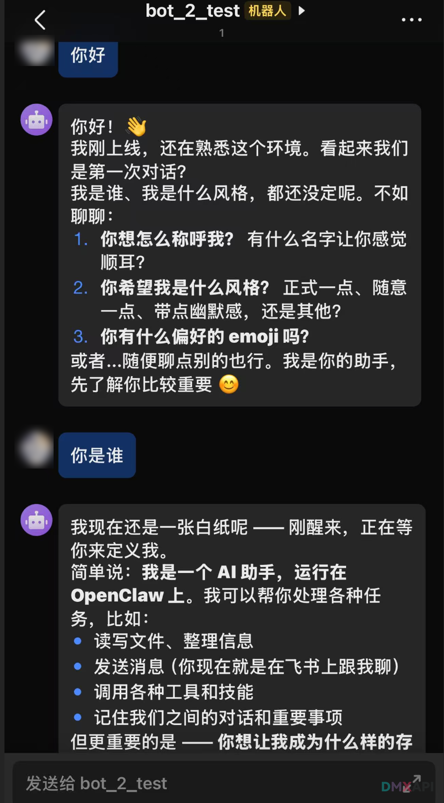 飞书私聊对话演示